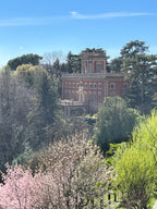 🇪🇺 Europa Edition — Jedna podróż, wiele kultur