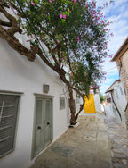 🇬🇷 Aftertravelbox Grecja —  Platon