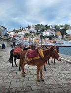 🇬🇷 Aftertravelbox Grecja —  Platon