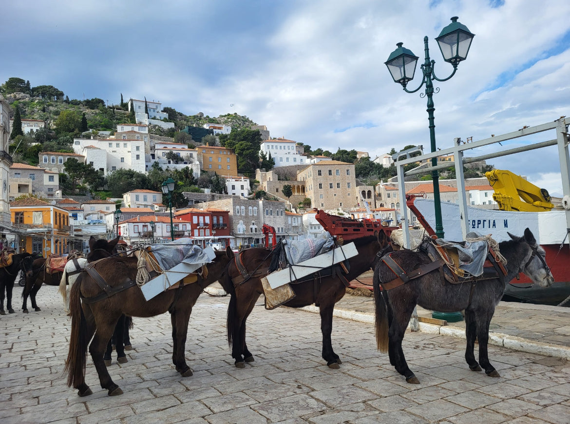 🇬🇷 Aftertravelbox Grecja —  Platon