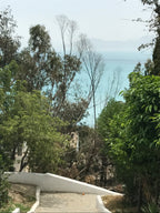 🇹🇳Aftertravelbox Sens — Tunezja