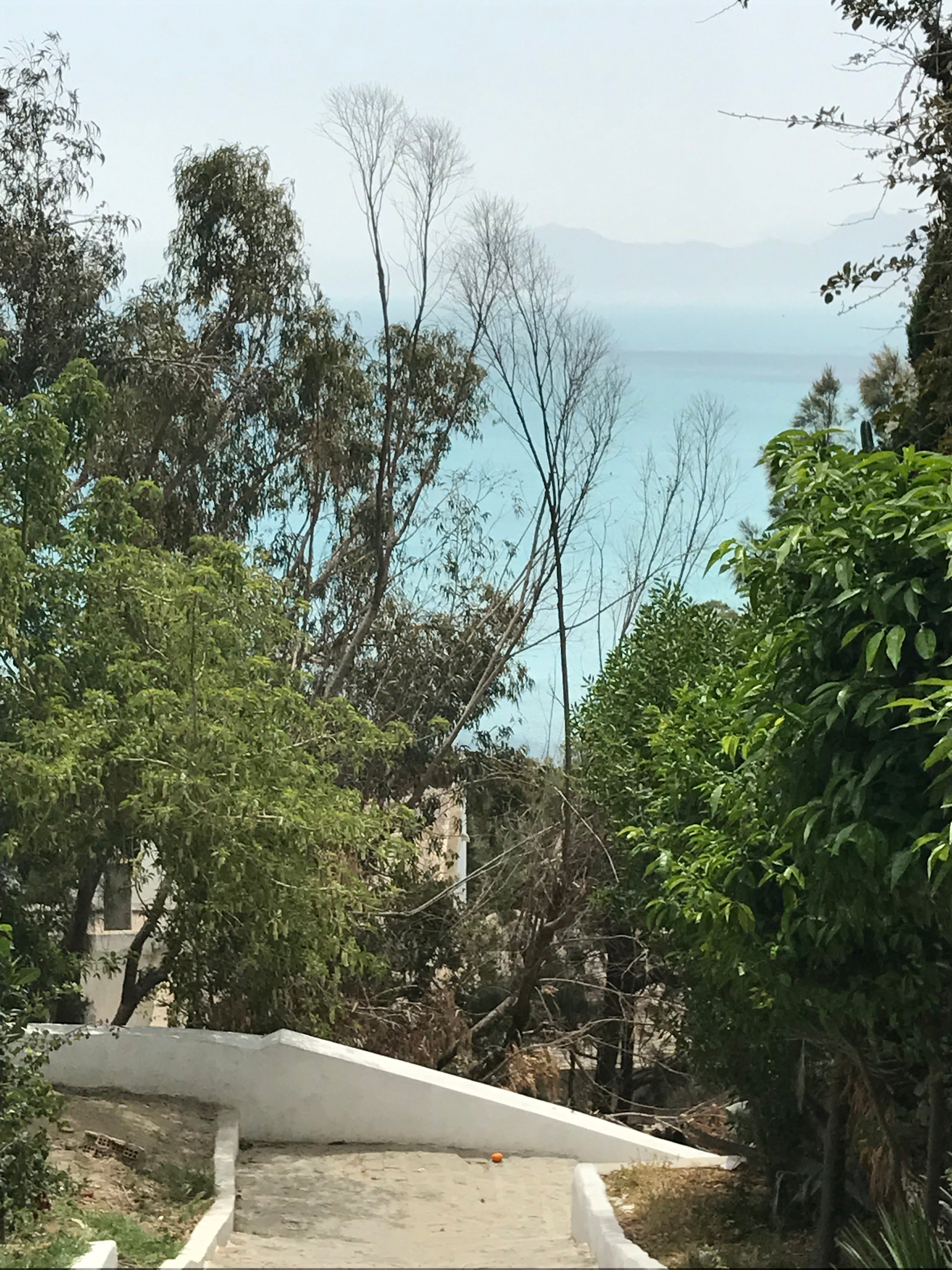 🇹🇳Aftertravelbox Sens — Tunezja