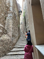 صندوق ما بعد السفر إسبانيا — دالي