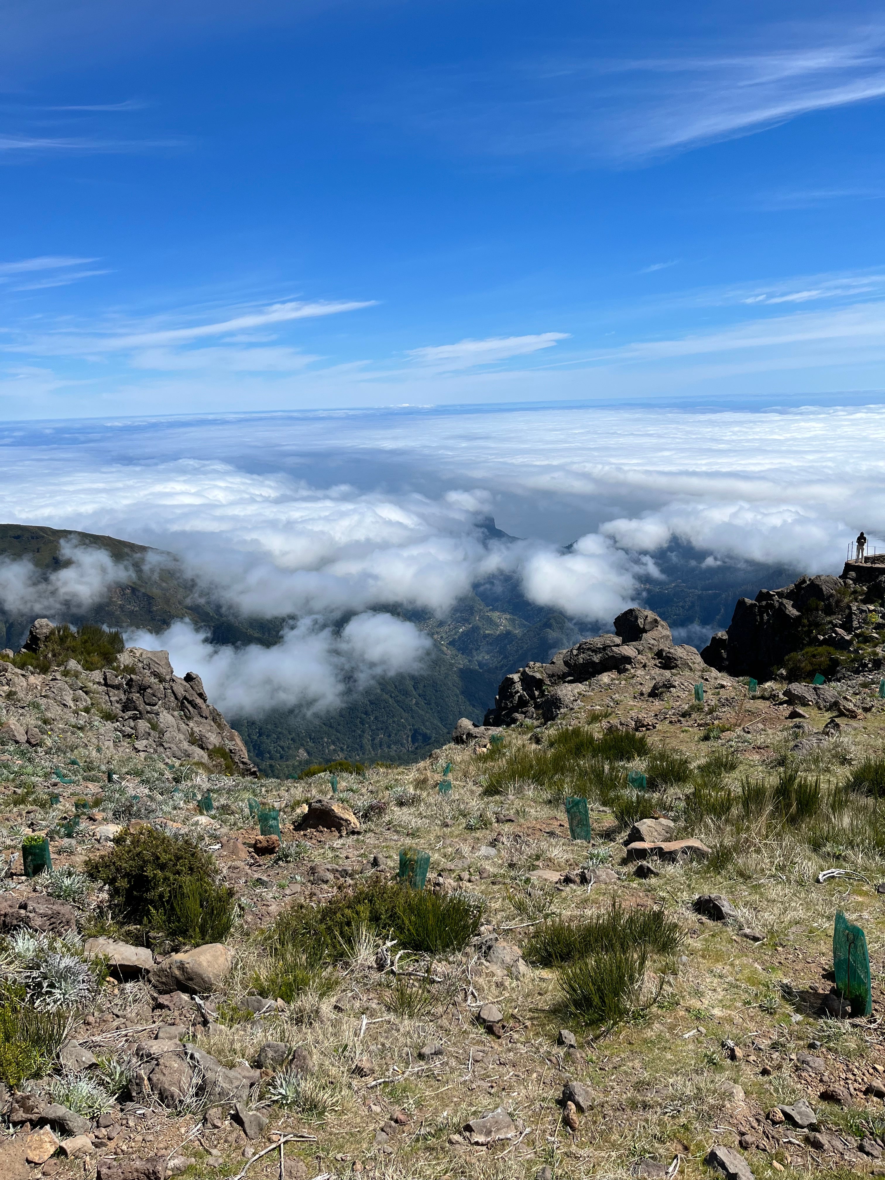 Aftertravelbox Portugal — Pessoa