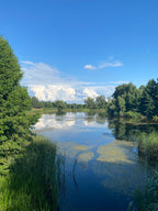 صندوق ما بعد السفر بولندا — شوبان