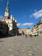 صندوق ما بعد السفر بولندا — شوبان