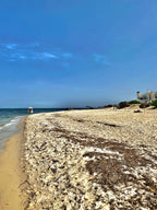 🇹🇳Aftertravelbox Sens — Tunezja