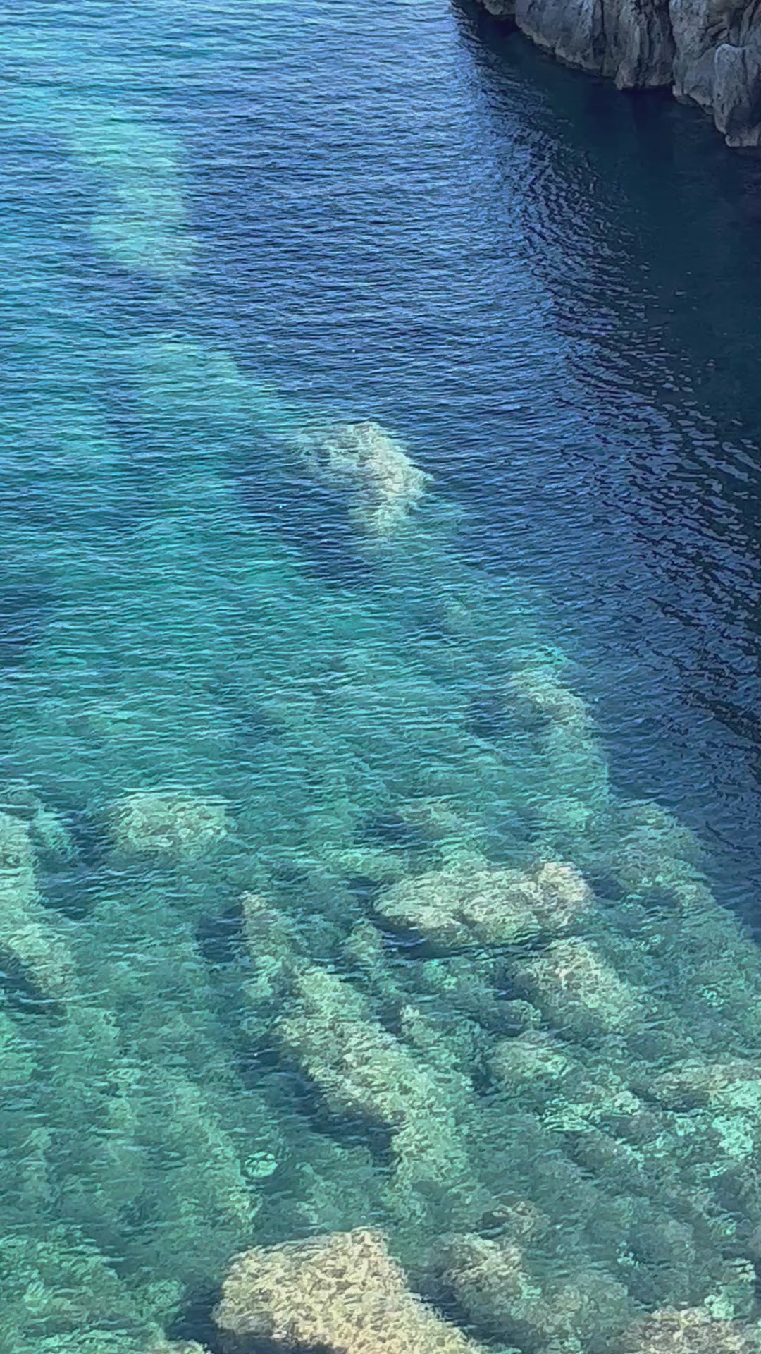 صندوق ما بعد السفر إسبانيا — دالي